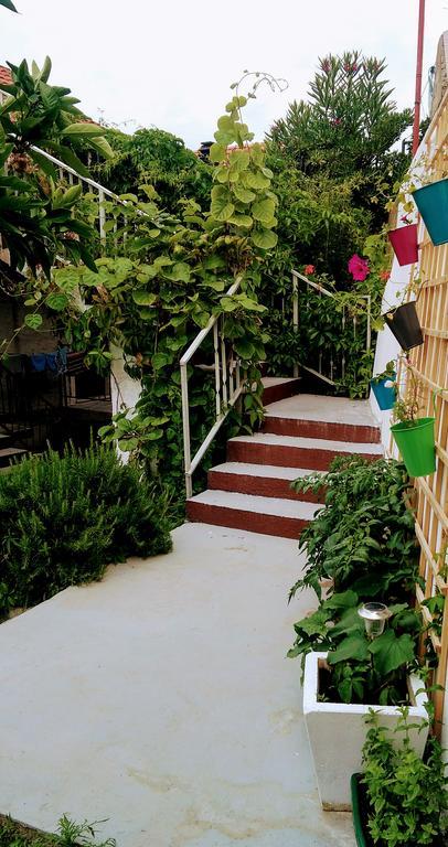 Sofia'S Way Apartments Jelsa  Luaran gambar